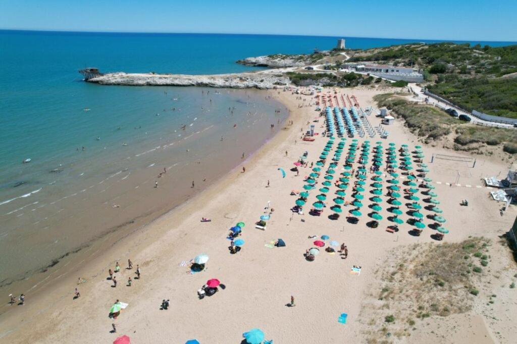 Appartamenti Gallo Club Vieste Exterior photo